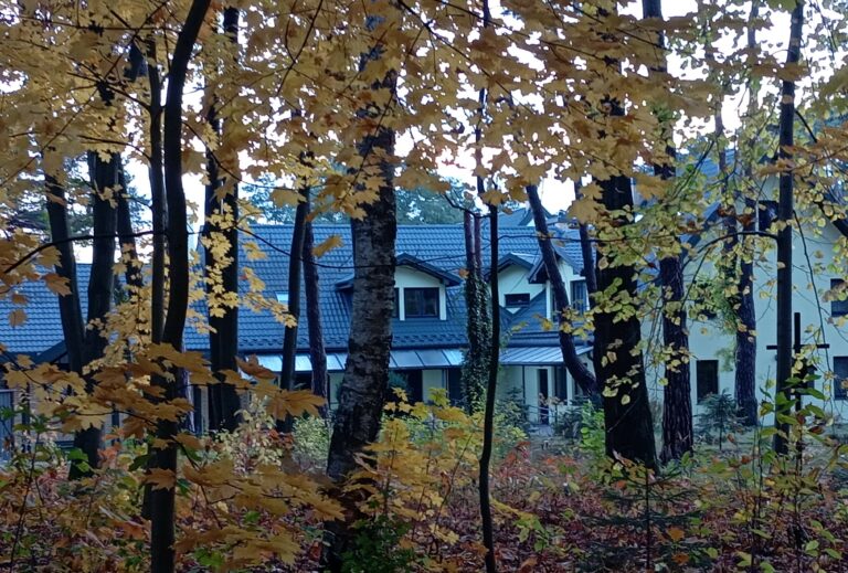 ODNOWA – ZATRZYMAJ SIĘ NA CHWILĘ…