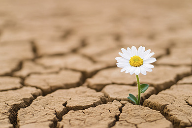 MISTERIUM PRZEBACZENIA 3