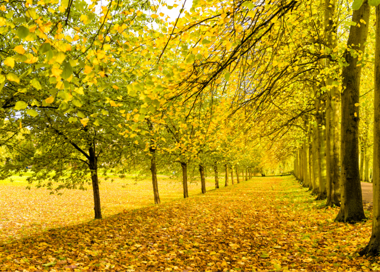 ZMIENIAM SIĘ – WIĘC WZRASTAM